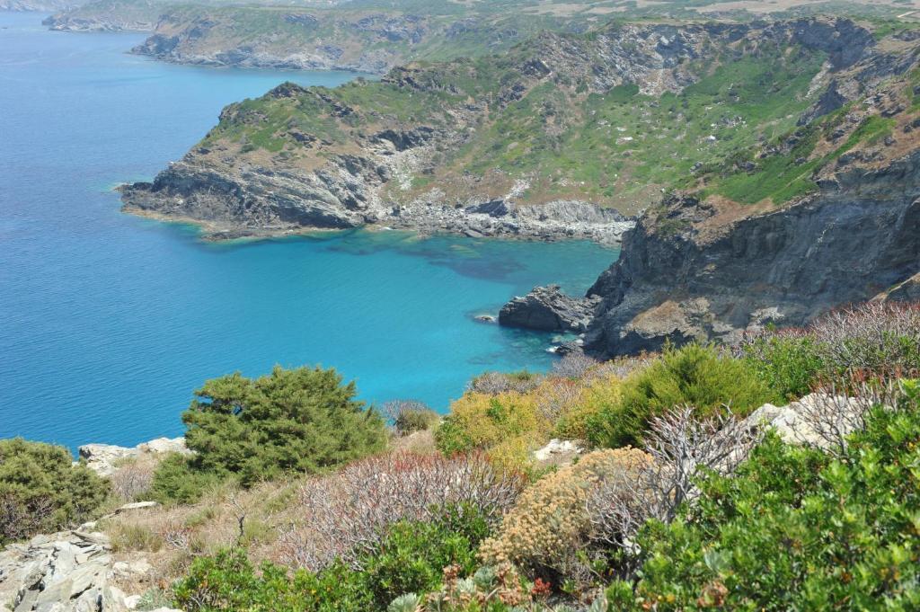 Agriturismo Finagliosu Palmadula Dış mekan fotoğraf