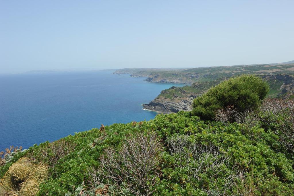 Agriturismo Finagliosu Palmadula Dış mekan fotoğraf