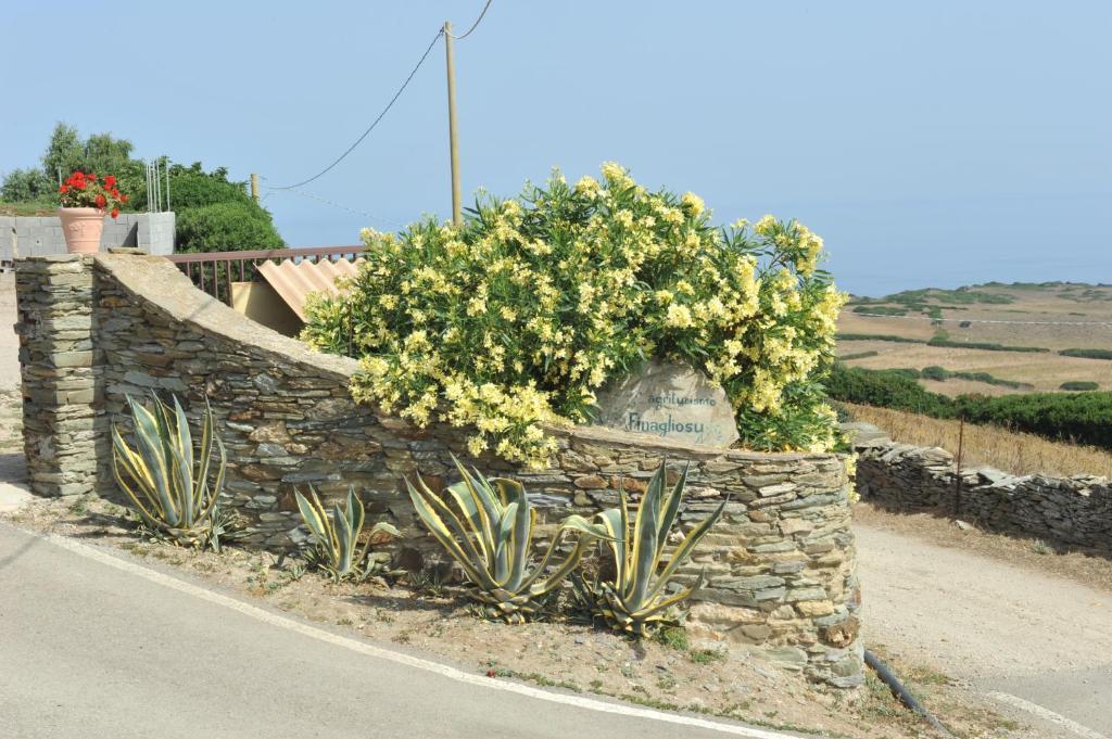 Agriturismo Finagliosu Palmadula Dış mekan fotoğraf