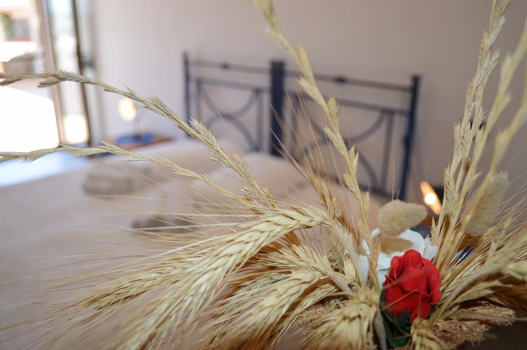 Agriturismo Finagliosu Palmadula Oda fotoğraf